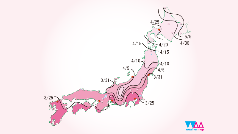2025年日本全国桜開花時期画面表示